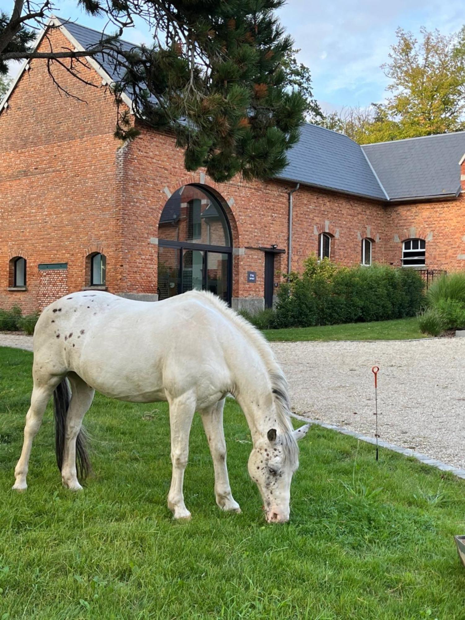 Aux Bois Dorés de la Ferme de sorval, animaux de la ferme, fitness Selvigny Exterior foto